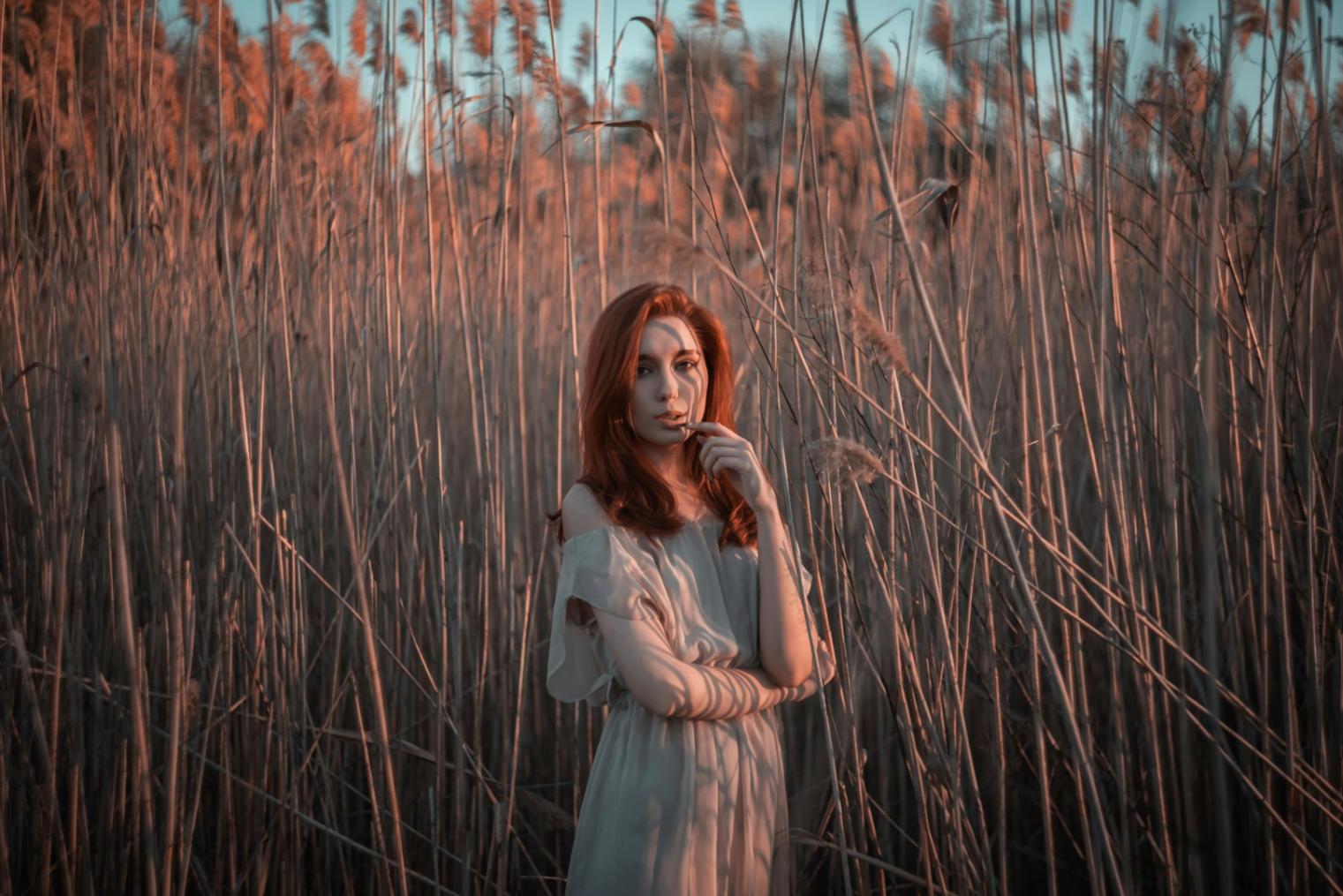 Detailansicht einer Haarfärbeanwendung mit Pinsel